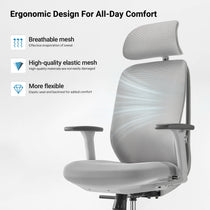 Eureka Ergonomic ergonomic office chair with breathable mesh backrest and flexible elastic seat material