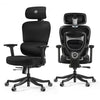 Axion, Ergonomic Hybrid Chair - Grey