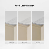 Ark Executive Standing Desk (63"x29")