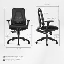 Nico Ergonomic Office Chair With Black Mesh Back, Adjustable Back Curve&Lumbar Support, Ergonomic Design,Dimension