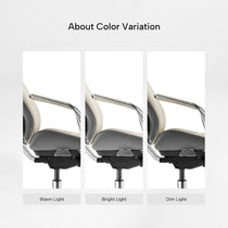 Serene Aaron, Genuine Leather Executive Office Chair