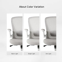 Onyx, Ergonomic Office Chair