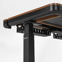 Prime Electric Standing Desk with RGB Lighting (55"x34")