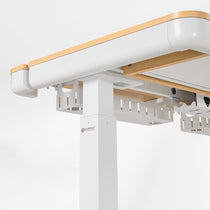 Prime Electric Standing Desk with RGB Lighting (55"x34")