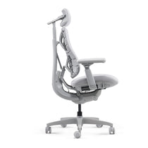 LiberNovo Omni, Ergonomic Office Chair