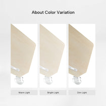 Aero Pro Wing Shaped Standing Desk (63"x23")