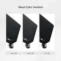 Aero Pro Wing Shaped Standing Desk (63"x23")