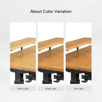 L-Shaped Standing Desk with Accessories Set (60"x23")