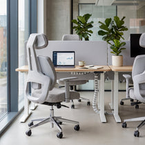 Divio,Dual-Backrests Ergonomic Office Chair