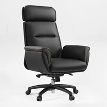 Executive Office Set：Zen Pro Standing Desk & Premium Executive Chair
