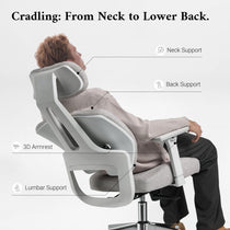 Divio,Dual-Backrests Ergonomic Office Chair