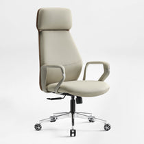 Eureka Ergonomic Aric Executive Office Chair product half-front showcase 