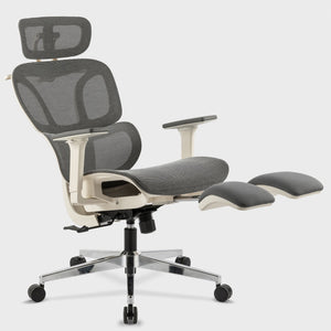 Eureka Ergonomic Ergonomic Office Chair with Footrest,Gray