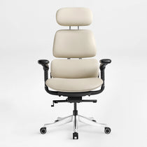 Forma, Ergonomic Executive Office Chair