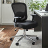 Hoss, Big & Tall Ergonomic Office Chair - Black