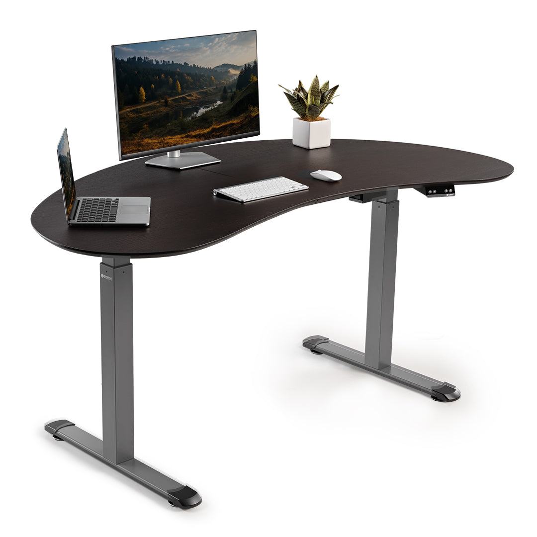Eureka 70'' Modern Height Adjustable Standing Desk for Home Office