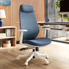 Skylar-Lite, Duo Hue Ergonomic Office Chair - Blue