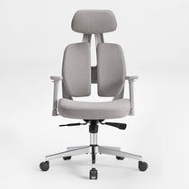 Divio,Dual-Backrests Ergonomic Office Chair