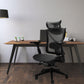 Aion - Lite, Ergonomic Office Chair