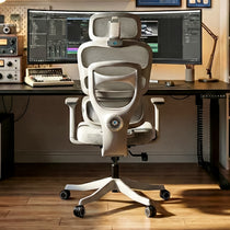 Axion, Ergonomic Hybrid Chair