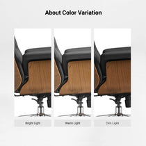 Mathias Marcel, High Back Office Chair Color Variation Under Different Lighting