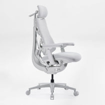 LiberNovo Omni, Ergonomic Office Chair
