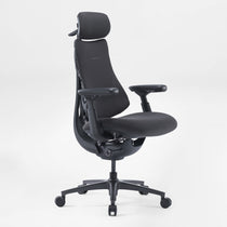 LiberNovo Omni, Ergonomic Office Chair