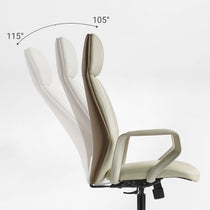 Eureka Ergonomic Aric Executive Office Chair 3 positions locking recline