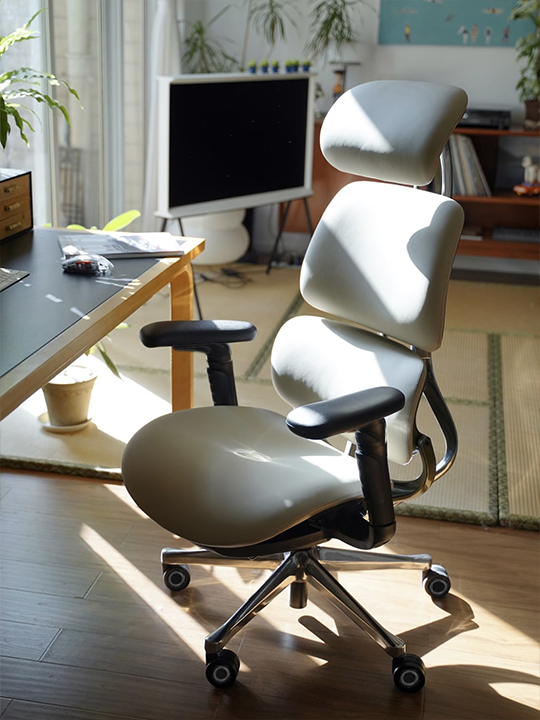 Eureka Ergonomic