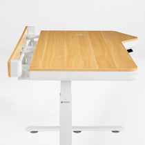Prime Electric Standing Desk with RGB Lighting (55"x34")