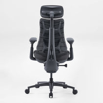 Eureka Ergonomic LiberNovo Omni Pro black chair rear view