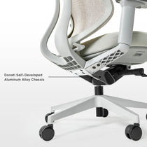 Eureka Ergonomic Lira,  Meah Ergonomic Office Chair, Light-Green Gray chassis