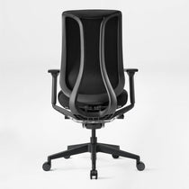 Lira, Ergonomic Office Chair