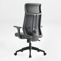 Eureka Ergonomic Valen Executive Office Chair  Back View