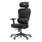 Axion, Ergonomic Hybrid Chair