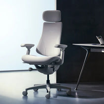 LiberNovo Omni in Home Office,  Ergonomic Office Chair, Space Grey
