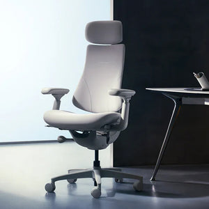 LiberNovo Omni, Ergonomic Office Chair