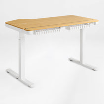 Prime Electric Standing Desk with RGB Lighting (55"x34")