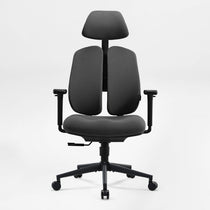 Flex, Dual-Backrests Ergonomic Office Chair