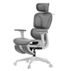 Alex, Ergonomic Office Chair with Footrest - Gray