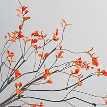 ALD-01 Fall Ficus Branches, Realistic Orange and Yellow Leaves for Fall Home Decor.