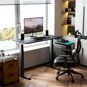 48'' Electric Standing Desk Adjustable Height, Black-colored