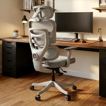 Axion, Ergonomic Hybrid Chair