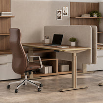 Norwood Standing Desk (55"x23")