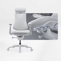 LiberNovo Omni in Home Office,  Ergonomic Office Chair, Glacier