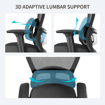 Lark Ergonomic Office Chair, 3D Adaptive Lumbar Support. Black Mesh Back, Designed for Spinal Health and Comfort.