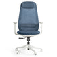 Skylar-Lite, Duo Hue Ergonomic Office Chair
