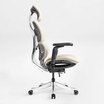 Forma, Ergonomic Executive Office Chair