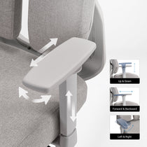 Divio,Dual-Backrests Ergonomic Office Chair