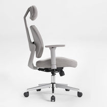 Divio,Dual-Backrests Ergonomic Office Chair